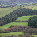 North York Moors
